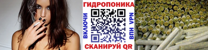 Бошки марихуана гибрид  Купить  Сертолово 